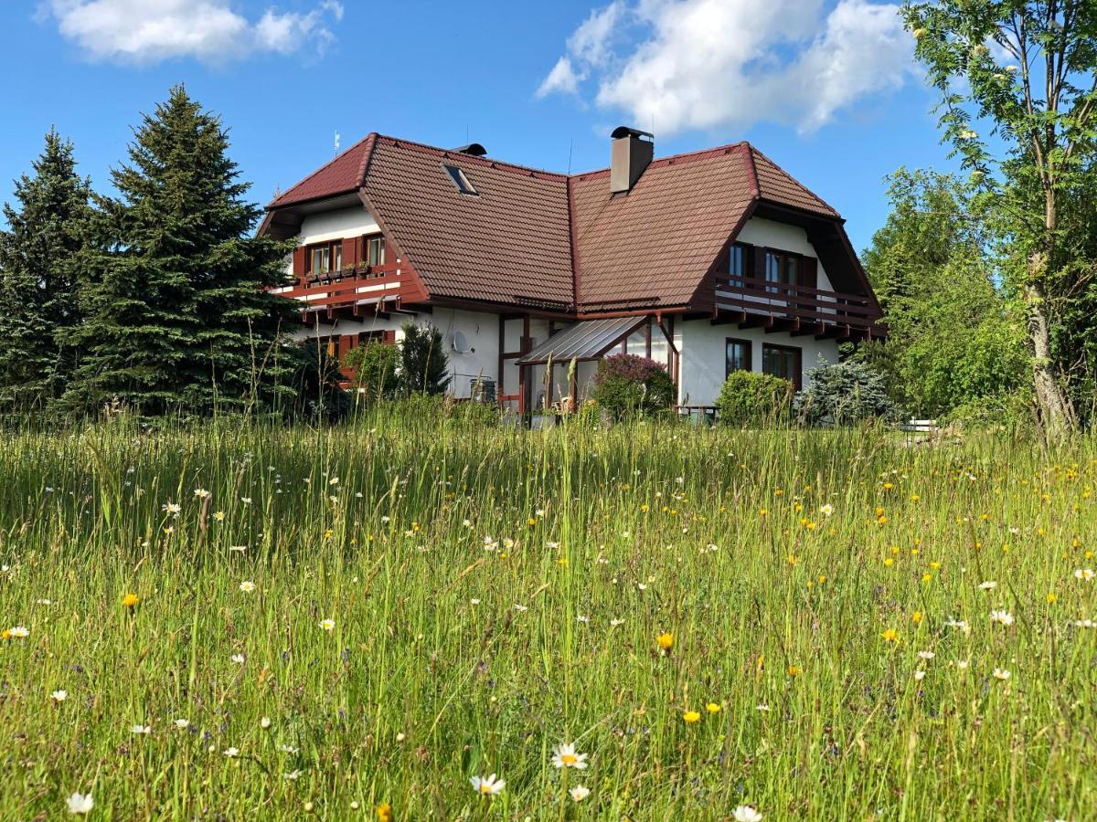 Penzion Harvanek Vlachovice Exteriör bild